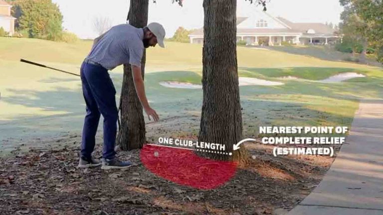 Craziest free drop in golf? This rules video explains it Craziest free drop in golf? This rules video explains it