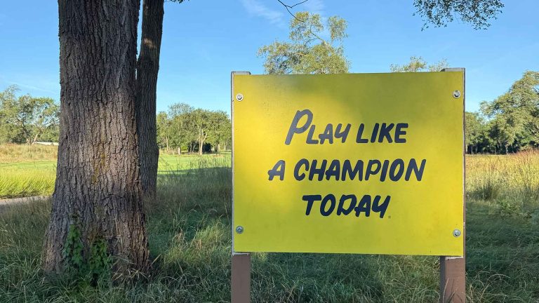 My favorite course from 2025 made me want to go D1